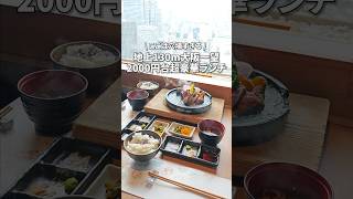 【梅田】穴場すぎる超贅沢高層階ランチ [upl. by Compte]