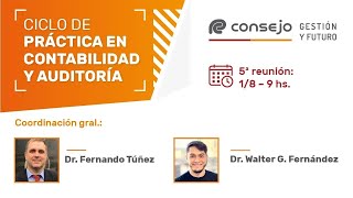 Ref 2505LV Ciclo de Práctica en Contabilidad y Auditoría 5º Reunión 2024 [upl. by Eradis616]