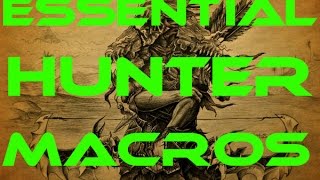 Essential Hunter Macros World of Warcraft [upl. by Ancier650]