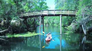 Wild nature on the Hillsborough River [upl. by Hana699]