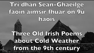 Three Medieval Irish Poems about Cold Weather read in Old Irish and in English translation [upl. by Ainotahs]