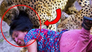 The Cheetah Cries And Asks The Woman For Help And Then Unbelievable Things Happen [upl. by Eibrab]