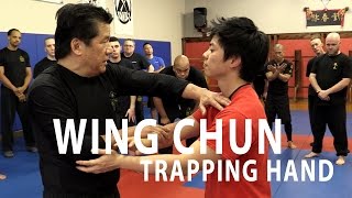 Sifu Francis Fong  Trapping Concept  FFIA Public Video [upl. by Legir]