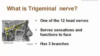 Presentation on What is Trigeminal Neuralgia Symptoms Causes amp Treatment of TN [upl. by Assetak]