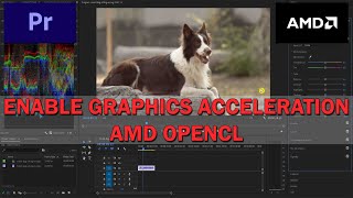 How to enable GPU Acceleration OpenCL in Adobe Premiere Pro  AMD Graphic Card Fix [upl. by Morez]