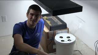 Worlds Most Simple 5 DIY Hydroponic Setup QUICK EZ amp CHEAP [upl. by Tonie979]