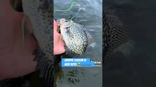 Crappie season is here 😎🎣 fishing fishingvideo crappie shorts ajillatv309 outdoors fyp [upl. by Lazare827]