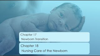 Maternal Newborn OBNurseRNStudentRicci 4th Ed Full lecture Ch 17 and 18Norman Newborn [upl. by Haag]