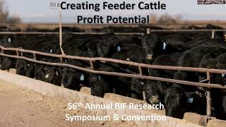 2024 BIF  Creating Feeder Cattle Profit Potential Panel [upl. by Marlane]