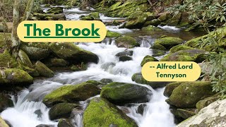 Poem The Brook by Alfred Lord Tennyson  RAP Version [upl. by Nannoc472]