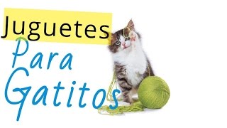 Aprende hacer Juguetes para gatos en casa [upl. by Yerrot]