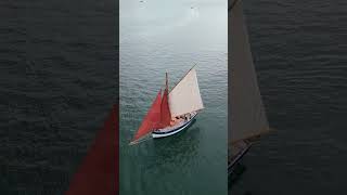 Falmouth Classics More stunning yachts so great to see  even better to sail shorts [upl. by Favian885]