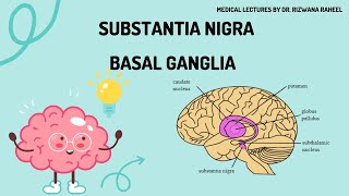 Substantia Nigra  Basal Ganglia  Pharmacology Lippincott Illustrated Reviews Series Lecture  2 [upl. by Noek]