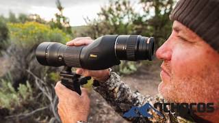 Snipers Hide Bullet Point Nikon Monarch 82ED Spotting Scope [upl. by Rhodes826]