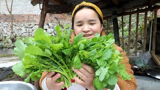 苗大姐做中式芥末，味道更呛更香，呛得鼻青脸肿，天灵盖冲天Sister Miao uses mustard greens to make sauerkraut and cold dishes【苗阿朵美食 [upl. by Remled950]