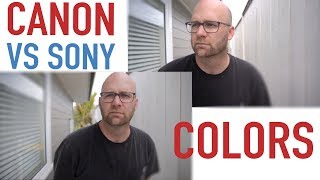 Canon vs Sony Colors for Video  Can you pick which one is which [upl. by Annaed605]