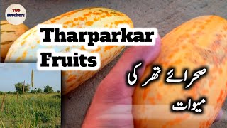 Fruits Of Desert Tharparkar 🍎🍉🍒 صحرائے تھر کی میوات 👌 Pakistan Most Beautiful Place [upl. by Geesey]