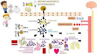 Antiinflamatorios No Esteroideos  AINEs [upl. by Auqkinahs]