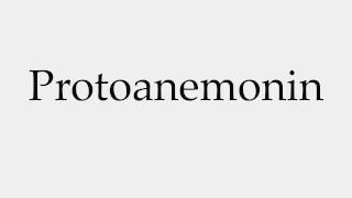 How to Pronounce Protoanemonin [upl. by Marutani]