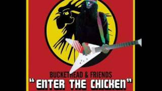 Buckethead  Nottingham Lace HQ studio version [upl. by Nadabb668]