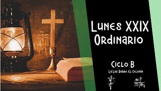 Lunes XXIX Ordinario [upl. by Dinsmore]