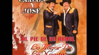 Carlos y Jose  Al Pie de un Arbol SUSCRIBETE [upl. by Eellah163]