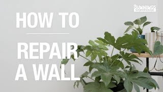 How to Fix a Hole in the Wall  Bunnings Warehouse [upl. by Anekam]