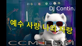 신나는 CCM EDM DJ Contin  예수사랑 나의자랑 [upl. by Denys843]