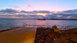 Fishing Hervey Bay for Mackerel My first ever Tailor [upl. by Kimbra167]