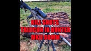 HOG HUNTING KILL SHOTS TRIJICON MKIII 60MM [upl. by Yonita]