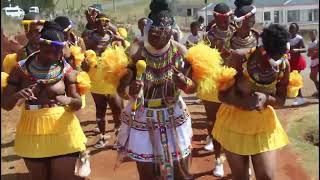 Intombi nto eyigagu Zulu dance [upl. by Dam]