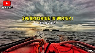 Spearfishing in Winter I  Azores 2024 [upl. by Chris173]