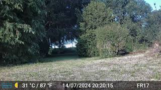 Videos Only Edit GardePro A3 Trail Camera 5 of 10 FR17 Côtes dArmor Brittany France [upl. by Perlie570]