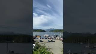 Whale Watching in Tofino BC [upl. by Latona505]