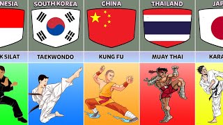 Martial Arts From Different Countries [upl. by Dennett533]