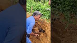 The process of digging underground wine tanks for aging [upl. by Simsar738]