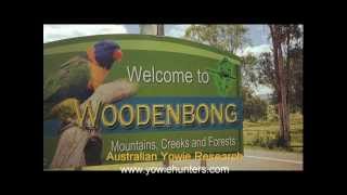 Yowie  Bigfoot Sighting Audio Report 01 in Woodenbong New South Wales [upl. by Anialram]