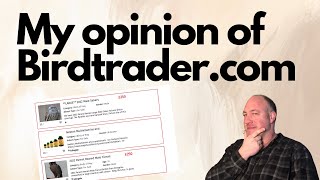 Buying birds of prey from the birdtrader website  a guide and my opinion  Falconry advice [upl. by Vil143]