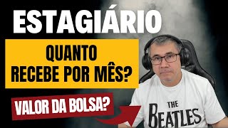 QUANTO UM ESTAGIÁRIO RECEBE POR MÊS  Como calcular [upl. by Germaine]