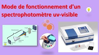 spectroscopie uvvisible 6  mode de fonctionnement dun spectrophotomètre uvvisible [upl. by Culosio871]