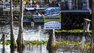 FISHING MOUNT DORA FL LAKES W FAMILY off PONTOON BOAT Episode 9 🎣🛥️🐊 [upl. by Primo]