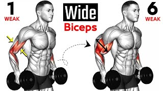 6 Best Exercise To Get Big And perfect Biceps workout [upl. by Leontine]