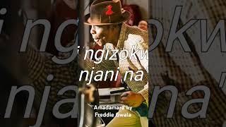 Amadamara by Freddie Gwala❤🇿🇦 music [upl. by Onaicilef]