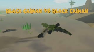 Black caiman vs black caiman  I met a fan  Amazon ascension [upl. by Sivet]