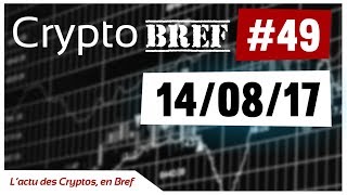 cryptobref 49  14082017  lactu des cryptomonnaies en bref  enregistré vers 19h [upl. by Anan355]