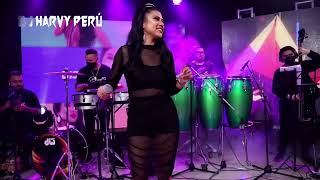 DEMO PACK SALSA TIMBA Brunella Torpoco y Orquesta  Dj Harvy Peru 22 [upl. by Stace]