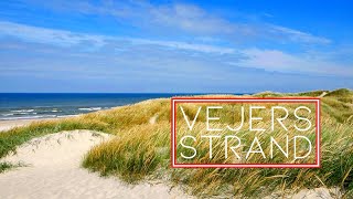 Denmark  Vejers Strand Nature Beach and Sceneries [upl. by Xel]