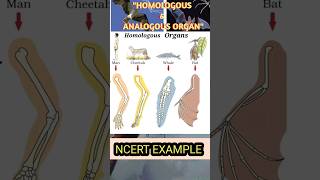 Homologous and Analogous Organ l class12 biology reproduction evolution anubhawsirbiology neet [upl. by Anirdna]