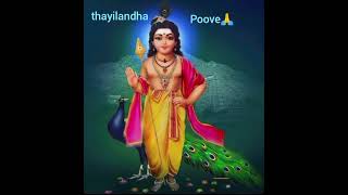 velum mayilum thunaiyirukka  thayilandha poove🙏👉 subscribe❤🙏👈 [upl. by Askari417]