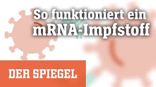 Corona Wie funktioniert ein mRNAImpfstoff  DER SPIEGEL [upl. by Aikemaj624]